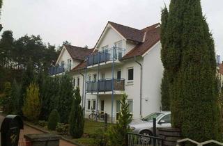 Wohnung kaufen in Bohraer Str. 59, 01936 Königsbrück, Schöne 1-Raum-Wohnung mit Balkon und Stellplatz