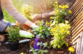 Wohnung kaufen in 71570 Oppenweiler, Für Gartenfreunde: sonnige 3-Zimmer-Wohnung mit Terrasse und großer Gartenfläche