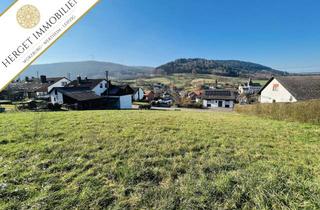 Grundstück zu kaufen in 97896 Freudenberg, Einmaliges Baugrundstück im wunderschönen Wildbachtal
