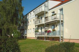 Wohnung mieten in 39317 Elbe-Parey, FRISCH RENOVIERTE 3-Zimmer-Wohnung mit Balkon in Güsen inkl. EBK