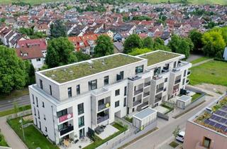 Wohnung kaufen in Merlotweg 3+5, 71404 Korb, Kapitalanleger aufgepasst! 2-Zimmer-Wohnung im EG mit Terrasse