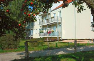 Wohnung mieten in 39317 Elbe-Parey, FRISCH RENOVIERTE 4 Zimmer Wohnung mit Balkon im grünen