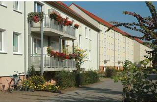 Wohnung mieten in 39317 Elbe-Parey, FRISCH RENOVIERTE 2-Zimmer-Wohnung mit Balkon im grünen Güsen