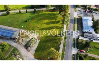 Grundstück zu kaufen in 17495 Züssow, Raum für Visionen: Sehr großes Baugrundstück mit perfekter Anbindung