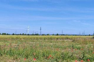 Grundstück zu kaufen in 39326 Wolmirstedt, Bauen Sie Ihr KfW55-Energiesparhaus in der Stadt Wolmirstedt!