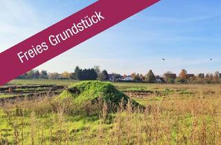 Grundstück zu kaufen in 39171 Sülzetal, TOP-Baugrundstück in Osterweddingen