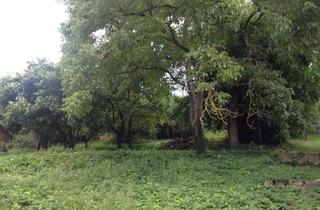 Grundstück zu kaufen in 75228 Ispringen, Bauträgergrundstück für MFH oder betreutes Wohnen