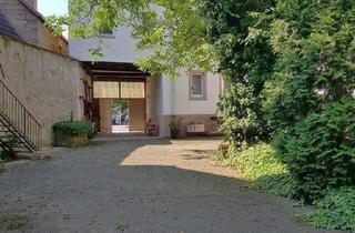 Gewerbeimmobilie kaufen in 67240 Bobenheim-Roxheim, Bauernanwesen mit Scheunen, Lagergebäude und Wohnhaus - HS 4136