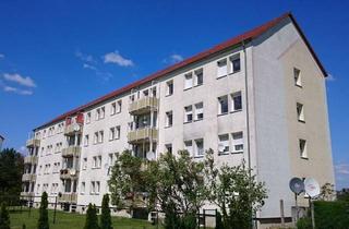 Wohnung mieten in Landstraße 41, 04838 Laußig, NEU renovierte 3-Raum-Wohnung mit Dusche