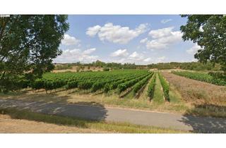 Grundstück zu kaufen in Am Woog, 67590 Monsheim, Voll erschlossene Grundstücke für EFH