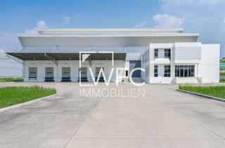 Gewerbeimmobilie mieten in 72186 Empfingen, Moderne Hallenfläche an der A81 - Rampenandienung - sofort verfügbar