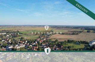 Grundstück zu kaufen in 14550 Groß Kreutz (Havel), Großes Baugrundstück - erschlossen & bauträgerfrei