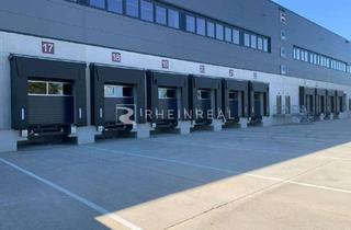 Gewerbeimmobilie mieten in 53332 Bornheim, Neubau-Logistik mit nachhaltigem Anspruch / 12 m UKB