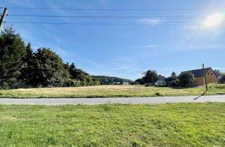 Grundstück zu kaufen in 01920 Steina, Baugrundstück mit Weitblick in 01920 Steina