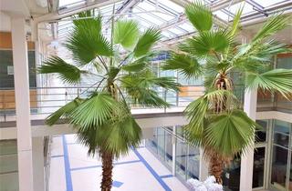 Büro zu mieten in Fontaneplatz 10, 15711 Königs Wusterhausen, 155 m² Büro - Praxis - Callcenter - Fläche in bester Geschäftslage