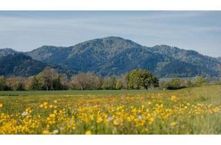 Wohnung kaufen in Bundesstraße 27c, 79199 Kirchzarten, Wohnen im Grünen mit eigenem Garten