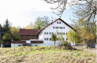Haus kaufen in Menhofen, 86920 Denklingen, renovierungsbedürftiges Wohn-/Geschäftshaus; Grundstück 10.000 qm