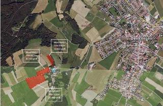 Gewerbeimmobilie kaufen in Menhofen, 86920 Denklingen, Wiesen - landwirtschaftliche Flächen