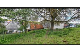 Einfamilienhaus kaufen in 36179 Bebra, Bebra-OT, Landhaus + Pferdehof