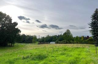 Grundstück zu kaufen in Eberswalder Straße 95, 15374 Müncheberg, Schön im Grünen gelegenes, großes Grundstück in zweiter Reihe