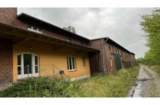 Gewerbeimmobilie kaufen in Am Bahnhof, 06901 Globig-Bleddin, Arbeiten und Wohnen umgeben von den Elbwiesen