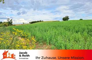 Grundstück zu kaufen in 74937 Spechbach, schönes Grundstück in Feldrandlage