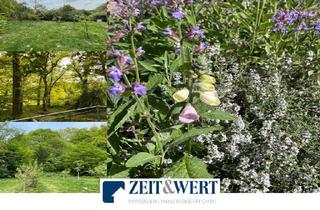 Grundstück zu kaufen in 56767 Kolverath, Raus ins Grüne! Freizeitgrundstück in Kolverath / Vulkaneifel (Rheinland-Pfalz)! (MB 4195n)