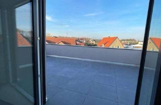 Penthouse kaufen in 38554 Weyhausen, mit dem Aufzug von der Tiefgarage zur Luxus-Penthousewohnung auf 2 Etagen (2 schöne Dachterrassen)