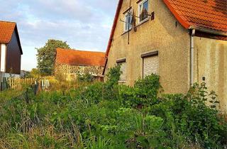 Doppelhaushälfte kaufen in 06179 Dornstedt, unsanierte Doppelhaushälfte auf 2.619 qm großem Grundstück + im Umkreis von Halle (Saale)