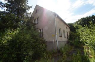 Grundstück zu kaufen in 04874 Belgern, Unweit Dahlener Heide - Idyllisch gelegenes Grundstück zur Neubebauung
