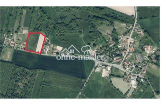 Grundstück zu kaufen in 21354 Bleckede, Ihr Traumhaus im Grünen