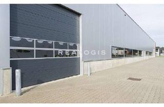 Gewerbeimmobilie kaufen in 96524 Neuhaus-Schierschnitz, ca. 2.900 m² Lagerfläche zu verkaufen