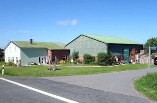 Haus kaufen in 25718 Friedrichskoog, Beste LAGE, guter ZUSTAND, schöner CHARAKTER: Gepflegter Resthof in Friedrichskoog / Nordsee