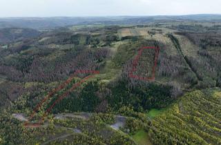 Gewerbeimmobilie kaufen in 07330 Probstzella, Fichtenmischwald mit etwas Grünlandanteil (ca. 6,5 ha) südlich von Saalfeld/Saale