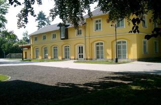 Gewerbeimmobilie kaufen in Heinrich-Heine-Platz, 02763 Zittau, Villa mit Nebengebäude und Parkanlage zu verkaufen