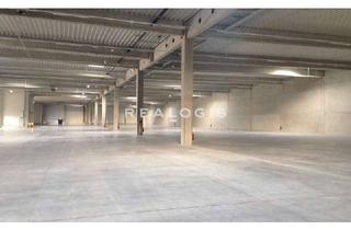Gewerbeimmobilie mieten in 32694 Dörentrup, Dörentrup, bis zu 7.000 m² Neubauhallenfläche zu vermieten