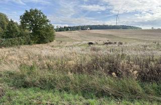 Grundstück zu kaufen in Plauen, 08468 Reichenbach im Vogtland, Baugrundstück in Stadtrandlage mit unverbaubaren Blick!