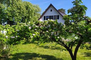 Einfamilienhaus kaufen in 33175 Bad Lippspringe, Bad Lippspringe: Großzügiges Einfamilienhaus m. Einliegerwhg. u. Obstgarten in bester Lage
