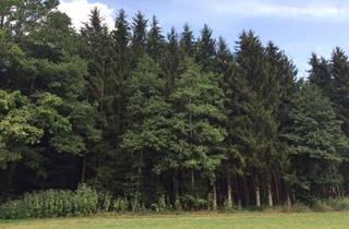 Grundstück zu kaufen in 86424 Dinkelscherben, *Top gepflegtes Waldgrundstück mit altem Baumbestand*Schlagreif*