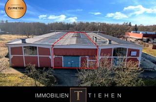 Gewerbeimmobilie mieten in Riedemannstraße 10, 49716 Meppen, Ca. 900 qm Lagerfläche an der Riedemannstraße in Meppen zu mieten!