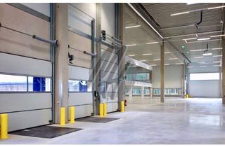 Büro zu mieten in 65553 Limburg, NEUBAU ✓ BEZUG AB 2025 ✓ Lager (8.000 m²) & Büro-/Mezzanine (1.000 m²)