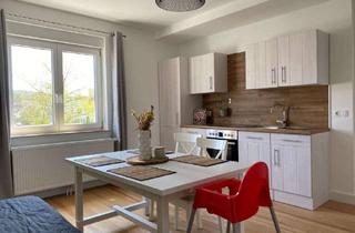 Wohnung mieten in 66424 Homburg, Schönes Appartement zur Kurzzeitmiete!