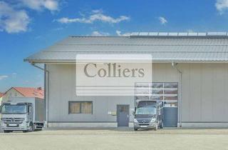 Gewerbeimmobilie mieten in 85447 Fraunberg, Moderne Logistikhalle mit großzügigen Freiflächen - COLLIERS