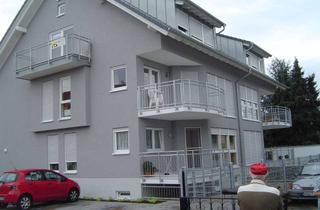 Wohnung kaufen in Sudetenstraße 24, 69190 Walldorf, Bezugsfertige, geräumige 2,5 ZKB-Souterrain-Wohnung in bester Lage von Walldorf