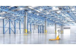 Büro zu mieten in 77836 Rheinmünster, Günstige Halle (ca. 1.000 - 5.000 qm), Büros (ca. 900 qm) u. Hochregal (ca. 2.000 Pl.) bei Rastatt