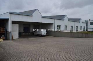Gewerbeimmobilie mieten in 56203 Höhr-Grenzhausen, Ca. 15.000 qm Lager- / Produktionsflächen | Rampe | ca. 4,50 m UKB