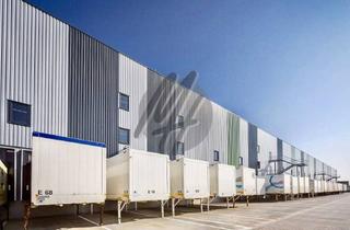 Büro zu mieten in 67105 Schifferstadt, NEUBAU ✓ SCHNELL VERFÜGBAR ✓ Lager-/Logistik (40.000 m²) & Büro-/Sozial (2.000 m²) zu vermieten