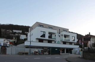 Wohnung mieten in Pfalzgraf-Otto-Str., 74821 Mosbach, Wunderschöne, moderne Neubauwohnung mit sehr großzügigen Balkon- und Terrassenflächen