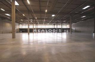 Gewerbeimmobilie mieten in 63533 Mainhausen, Ca. 4.900 qm Neubau Lager-/ Logisitk-/ Produktionsfläche | Rampe + ebenerdig | Ca. 7,00 m UKB