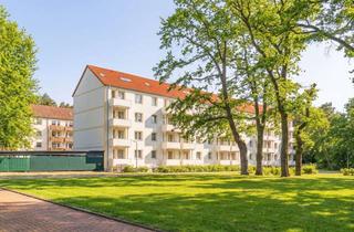 Wohnung mieten in Springseeweg, 15859 Storkow, Kernsanierte 2-Raum-Wohnung im wunderschönen Limsdorf, Storkow (Mark)